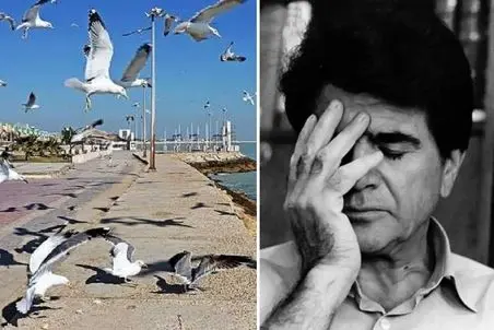 آواز بوشهری؛ محمدرضا شجریان تو حال هوای بوشهر یک نفس زد و هدر شد خوند