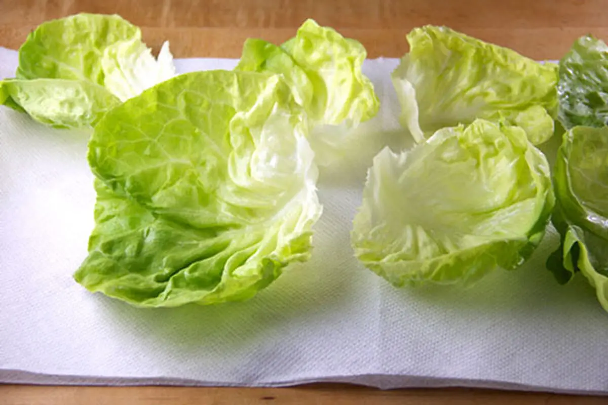 Keep-lettuce-fresh-4