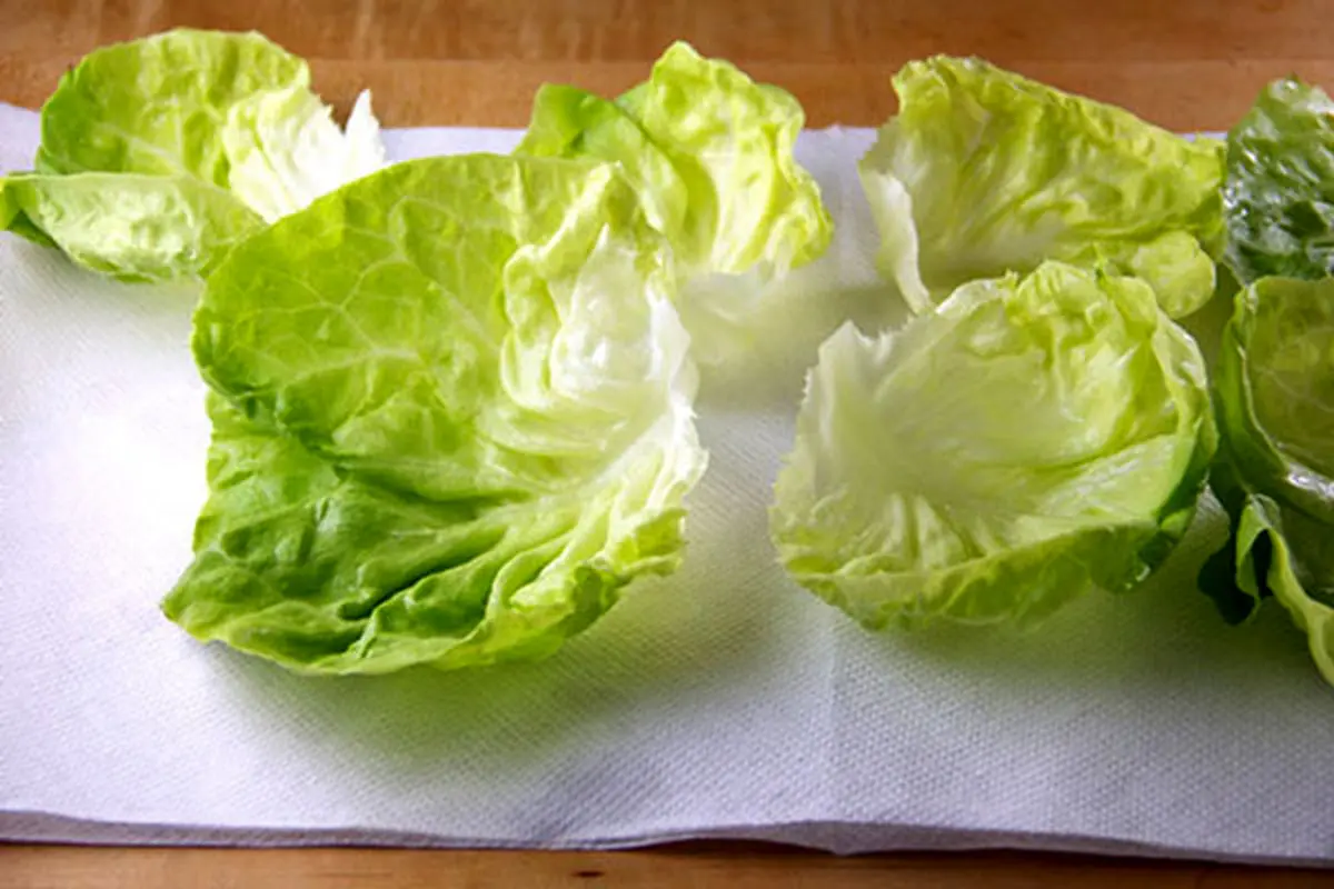 Keep-lettuce-fresh-4