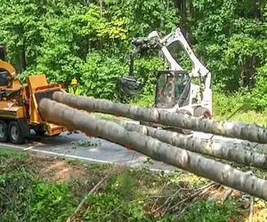 ماشین های پر شگفت؛ بزرگ ترین خرد کن درخت که تنه های ستبر رو یک دو سه پودر میکنه