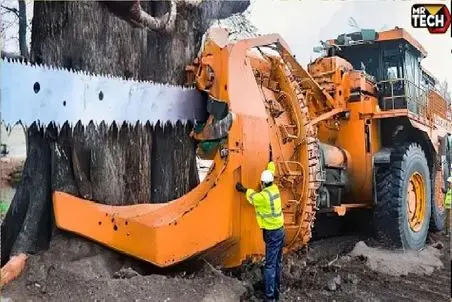 ابزارآلات غول پیکر؛ اپراتور بیل مکانیکی اره و چنگک انداخت دور درخت نابودش کنه