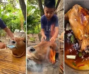 کله پاچه ؛ نیم وجبی معلوم نیست کله کدوم بدبختی که میخواد بپزه/ مسواک و شامپو چی میگه