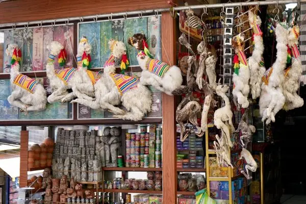 بازار جادوگران بولیوی