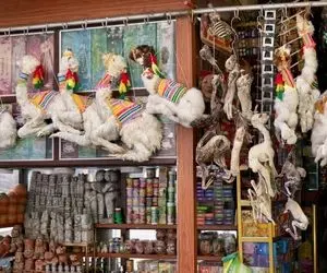 بازار جادوگران بولیوی؛ فروش جادوی سیاه در بازار!