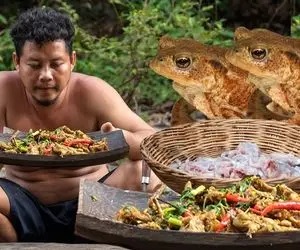 کباب قورباغه؛ این گشنه قورباغه ها رو زنده پوست میکنه تو روغن داغ سرخ میکنه و میخوره