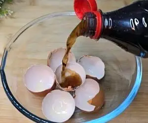 ترفندهای خانگی؛ چگونه با نوشابه و پوست تخم مرغ چربی ها و کثیفی ها را پاک کنیم؟