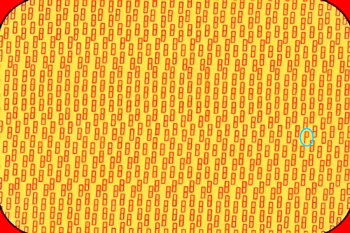 پاسخ-تست-بینایی-یافتن-حرف-P-مخفی