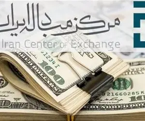 آخرین قیمت‌ها در بازار تجاری/ عقبگرد دلار توافقی