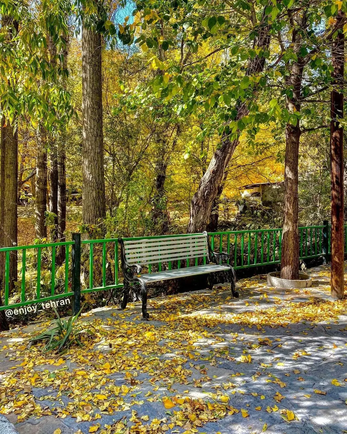 123135000_289883888732869_854952969720964832_n