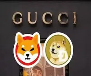 شیبااینو و دوج کوین به در مرگ تدریجی؟