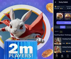 کارت های راکی رابیت (rocky rabbit) امروز پنج شنبه 15 شهریور + آموزش وارد کردن 