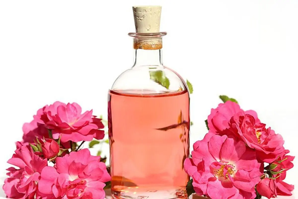 گلاب97979پچ