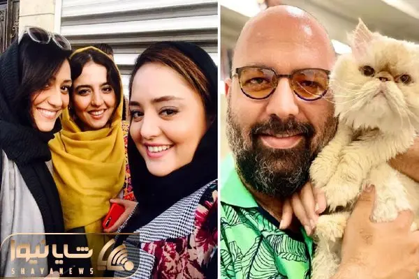 narges mohammadi shayaews