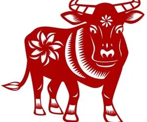 حیوان سال 1400 چیست؟/ ویژگی های سال گاو