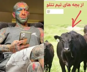 چرا امیر تتلو خود و نزدیکانش را "گاو" خطاب کرد؟