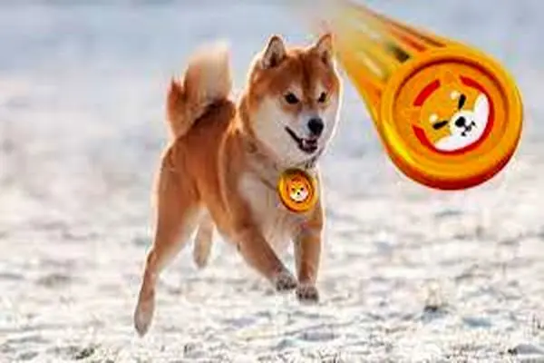 SHIBAINU