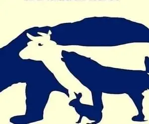 بازی فکری؛ باید ذهنت از آلفا بتا هم بالاتر باشه تا تموم حیوانات رو پیدا کنی