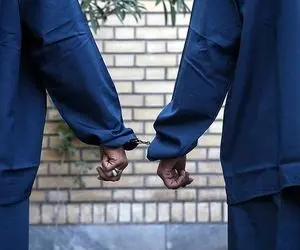 بازداشت 2 جوان به خاطر کتک زدن مادر شهید انصاری