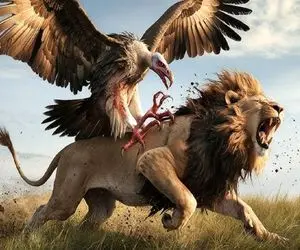 کارخانه حیوانات؛ کرکس لاشخور پرورش دادن با سرعت 1000 کیلومتر شیر شکار کنه 