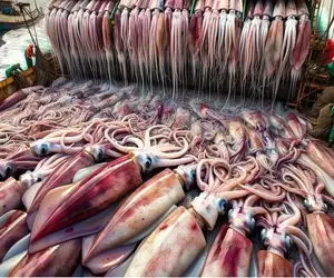 کارخانه حیوانات؛ هشت پا رو بعد صید میفرستن رستوران سرشو جدا میکنن بدنشو شرحه شرحه