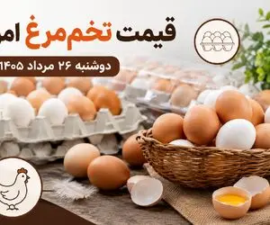 قیمت تخم مرغ امروز دوشنبه 26 مرداد 1405 + جدول