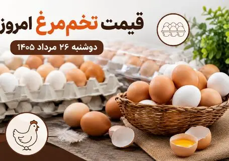 قیمت تخم مرغ امروز دوشنبه 26 مرداد 1405 + جدول
