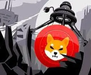 حرکت جنجالی از شیبااینو!