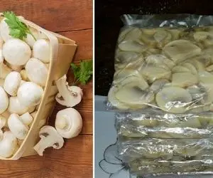 چجوری قارچ رو فریز کنیم بدون سیاه شدن؟ / تا 4 ماه بدون ذره ای لک تو فریزر سفید میمونه