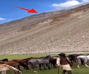 معماری طبیعت؛ کوه فقط میخواست به چوپان و گوسفنداش یه سلامی عرض کنه کار به روبوسی کشید
