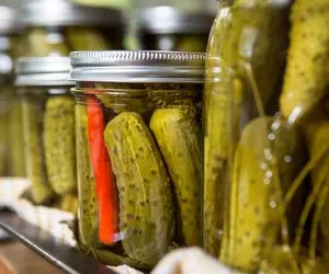 آموزش آشپزی؛ درست کردن خیارشور ترد و خوشمزه با ماندگاری بالا با تمام نکات