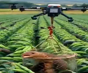 کشاورزی نوین؛ تو مزارع کشورهای پیشرفته مترسک نیست ربات مزاحما رو شناسایی و شکار میکنه