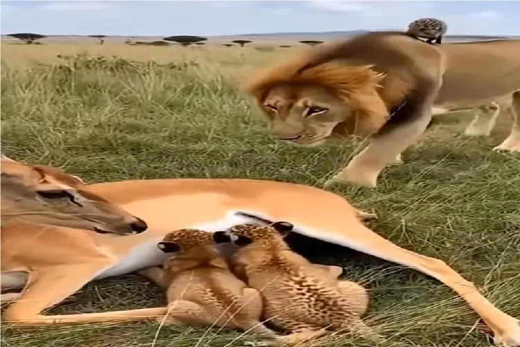 قلمرو وحش؛ سلطان از جایی که انتظار نداشت خورد