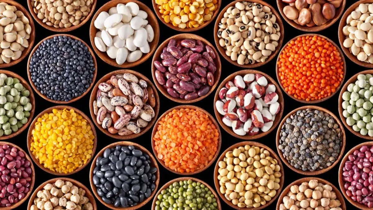 از بین بردن حشره حبوبات