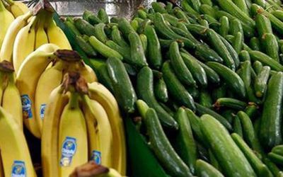 قیمت جدید خیار و موز در بازار + نرخ سایر میوه ها