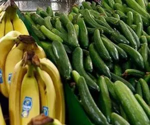 قیمت جدید خیار و موز در بازار + نرخ سایر میوه ها