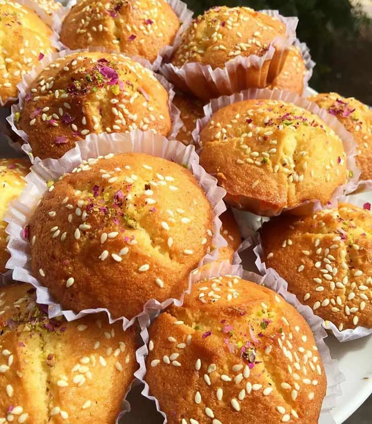 CAKE-YAZDI3