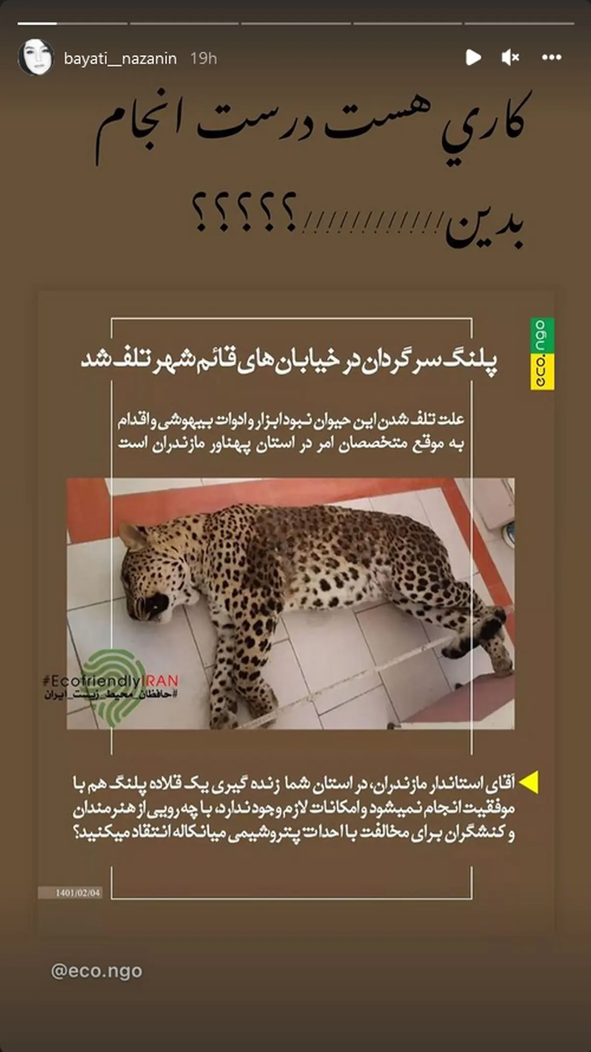 واکنش+هنرمندان+به+تلف+شدن+پلنگ+در+قائم+شهر