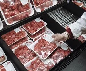 قیمت گوشت امروز شنبه ۲۰ تیر ۱۴۰۵؛ وضعیت بازار چطور است؟ + جدول