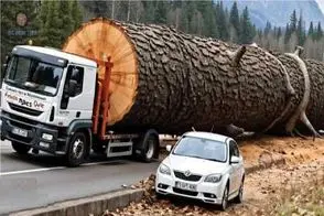 جا به جایی پرهیبت؛ اپراتور بیل مکانیکی حجم بیش از توان بار کامیون کرد چپه شد