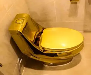 صنایع مدرن؛ تو نیویورک توالت فرنگی از طلای 18 عیار ساخته شده و برای از ما بهترونه  