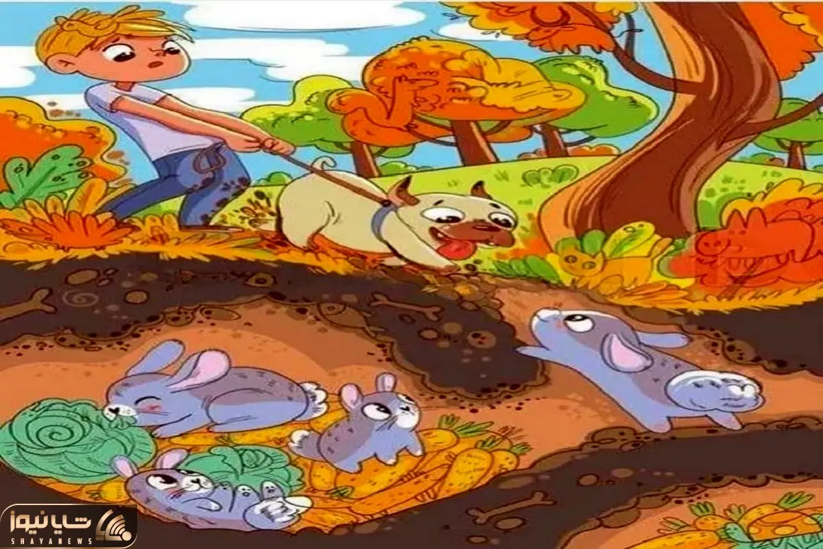 بازی فکری؛ حلزون بخت برگشته استتار کرده بین سگ و خرگوشارو فقط دید عقابیا دیدن