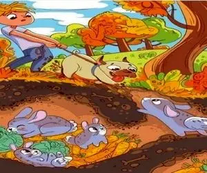 بازی فکری؛ حلزون بخت برگشته استتار کرده بین سگ و خرگوشارو فقط دید عقابیا دیدن