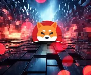 تحولی حماسه انگیز از شیبااینو!