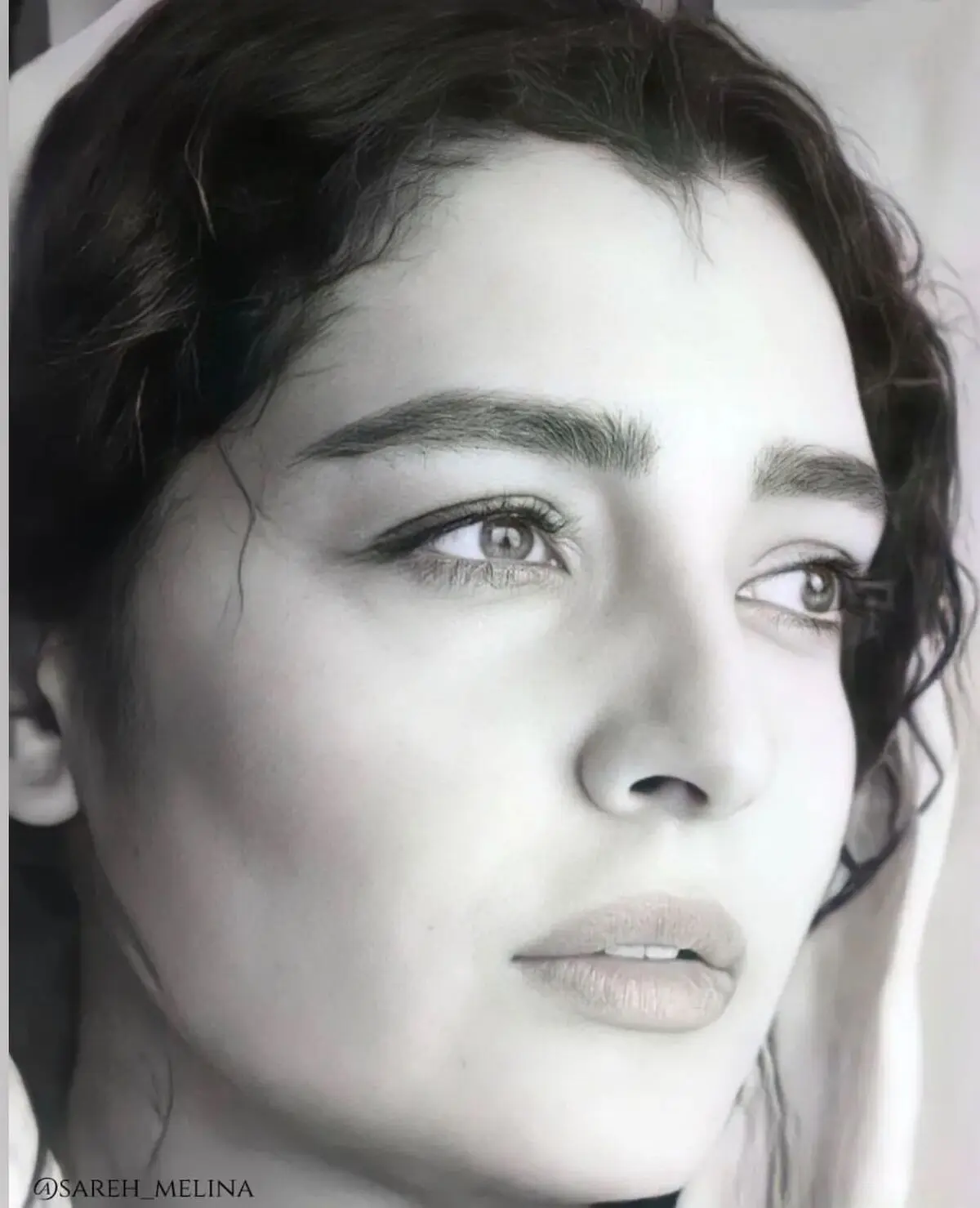 sarehbayat__1659199084