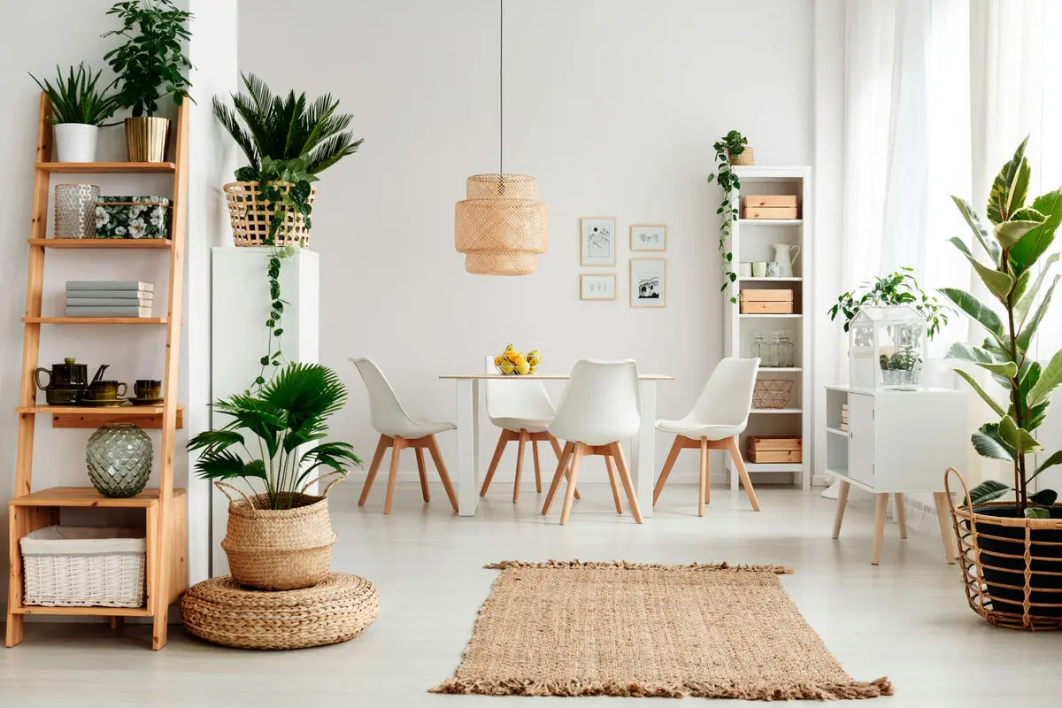 decor-01