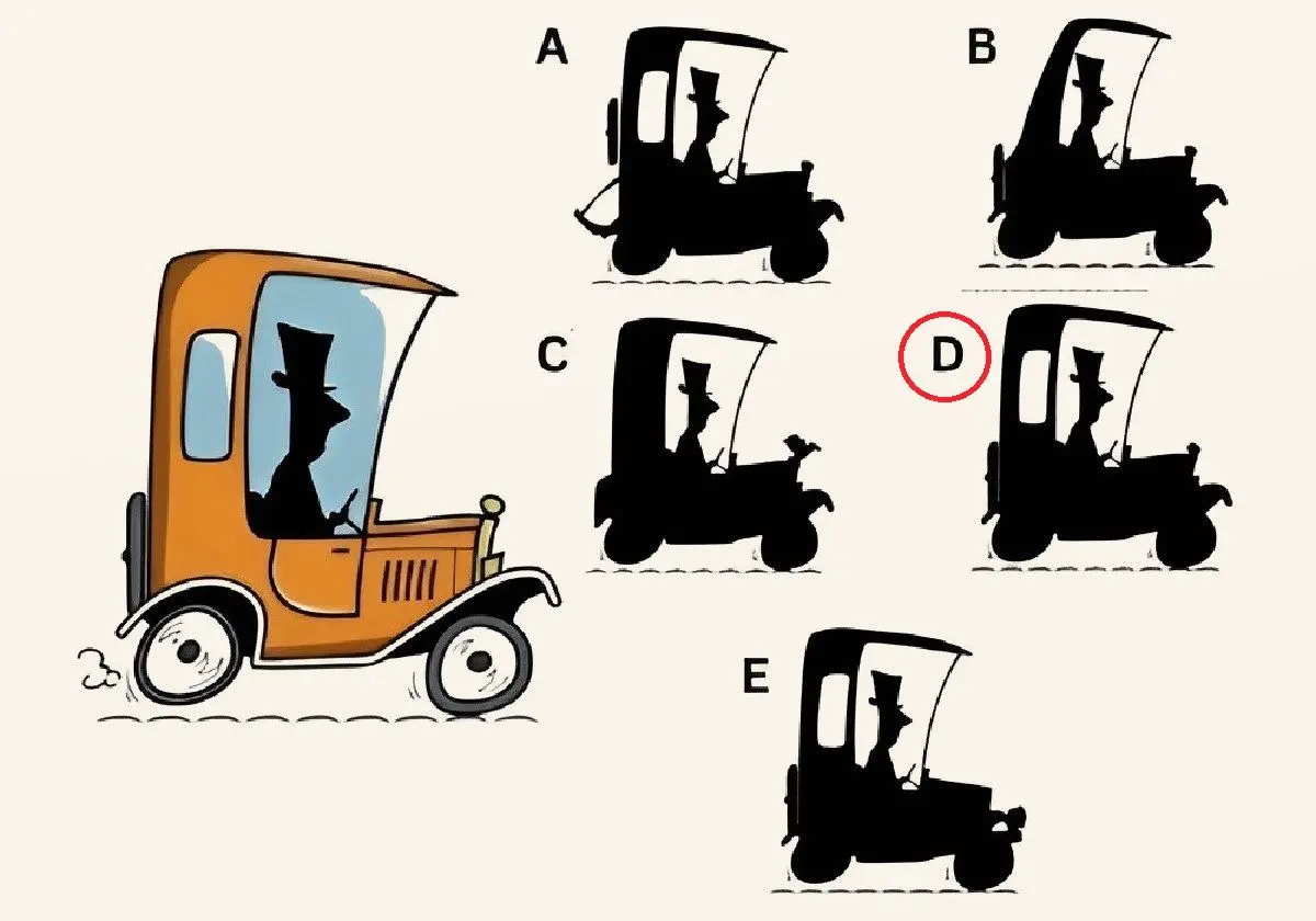 پاسخ-تست-هوش-سایه-ماشین-درست