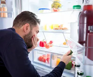 چگونه بوی یخچال را از بین ببریم؟