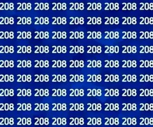 جدیدترین تست هوش تصویری با جواب؛ تو که آخرت مغزهای عالمی عدد 280 رو تو عکس پیدا کن!