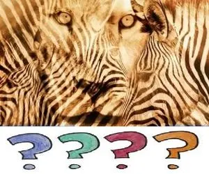 تست شخصیت شناسی: درونگرایی یا برونگرا؟ بگو تو تصویر چی میبینی تا جوابُ گوئَمِت