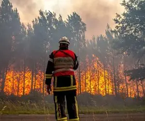 خبر جدید نماینده مجلس از آتش‌سوزی الیت؛ ترکیه وارد عمل شد هواپیمای روسی در راه است